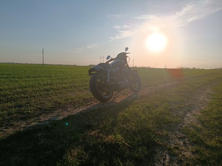 2008 Harley-Davidson Sportster 1200, чёрный, 580000 рублей, вид 5