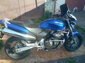 1999 Honda CB 600F Hornet, синий, 350000 рублей - вид 2