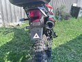 2025 Racer Panther, оранжевый, 130000 рублей - вид 4
