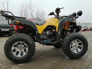 2026 Raptor MAX PRO 250, жёлтый, 223900 рублей, вид 2