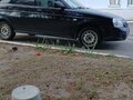2011 Lada (ВАЗ) Priora I, синий, 275000 рублей - вид 8