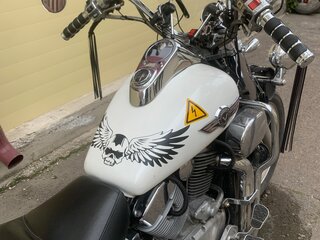 1993 Kawasaki VN1500 Vulcan, белый, 360000 рублей, вид 3