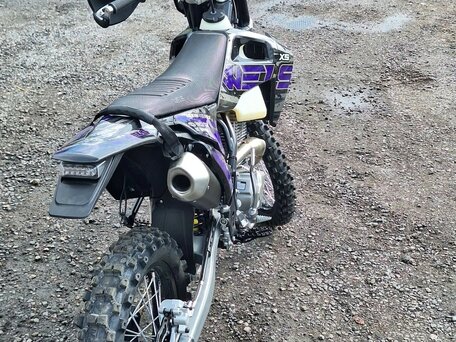 2026 Wels MX250R5, фиолетовый, 168990 рублей, вид 3