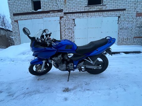 2001 Suzuki Bandit GSF 600, синий, 310000 рублей, вид 1