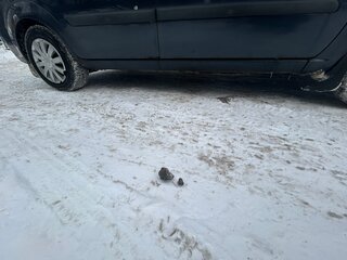 2006 Opel Zafira B, синий, 400000 рублей, вид 5