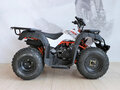 2025 Kayo Bull-2C, белый, 188100 рублей - вид 4