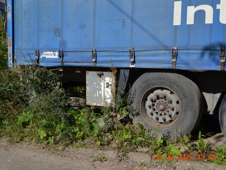 1999 Freightliner Century Class, синий, 2500000 рублей, вид 4