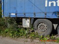 1999 Freightliner Century Class, синий, 2500000 рублей - вид 3