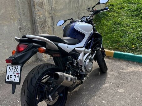 2010 Suzuki SFV 400 Gladius, синий, 430000 рублей, вид 4