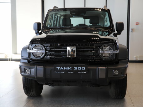 Tank 300 I