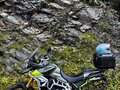 2020 Triumph Tiger 900, зелёный, 1000000 рублей - вид 6