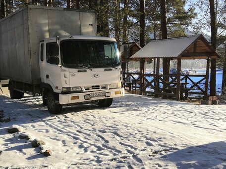 2007 Hyundai HD120, белый, 2700000 рублей, вид 3