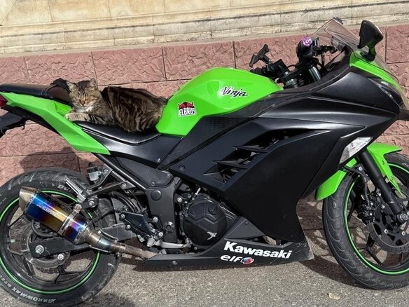 2014 Kawasaki Ninja 250R, зелёный, 300100 рублей