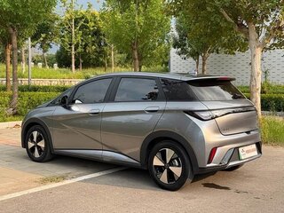 2024 BYD Dolphin 44.9 kWh I, серый, 1950000 рублей, вид 5