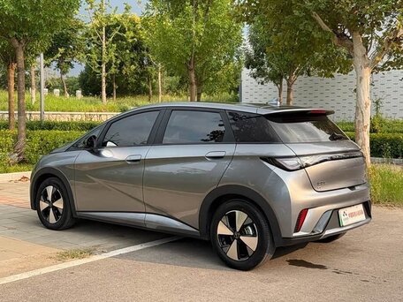 2024 BYD Dolphin 44.9 kWh I, серый, 1950000 рублей, вид 5