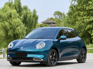 2024 Ora Good Cat 47.8 kWh I, синий, 1650000 рублей, вид 2