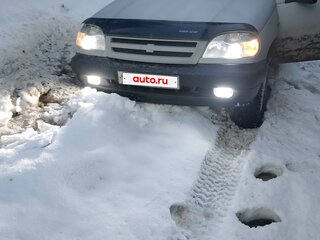 2004 Chevrolet Niva I, серый, 225000 рублей, вид 2