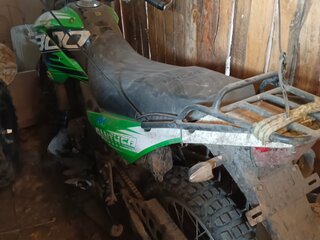 2022 Racer Panther, зелёный, 109999 рублей, вид 2