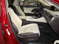 2018 Lexus RX 300 IV, красный, 4557000 рублей - вид 9