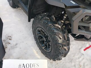 2026 AODES (Odes) Pathcross 800, чёрный, 1277000 рублей, вид 5