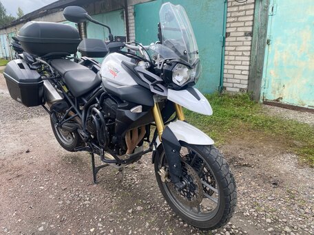 2014 Triumph Tiger 800, белый, 600000 рублей, вид 5