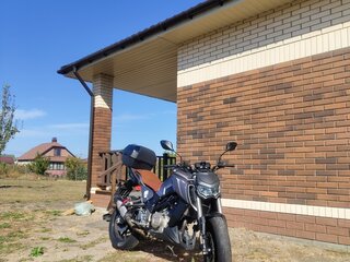 2020 Regulmoto Alien Monster, серый, 300000 рублей, вид 2