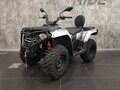 2026 Loncin XWolf 300, серый, 485000 рублей - вид 5