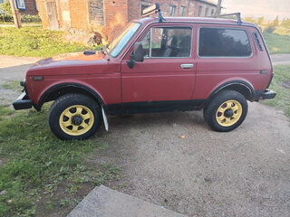 1994 Lada (ВАЗ) 2121 (4x4) I Рестайлинг, красный, 230000 рублей, вид 4