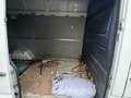 2014 Mercedes-Benz Sprinter, белый, 2000000 рублей - вид 5
