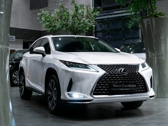 2020 Lexus RX 300 IV Рестайлинг, белый, 5049000 рублей - вид 11