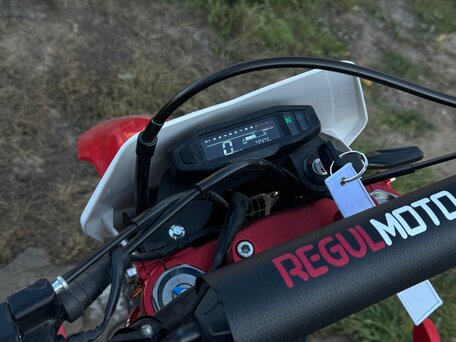 2024 Regulmoto CR-Z 300, красный, 240000 рублей, вид 4