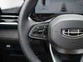 2026 Geely Monjaro I Рестайлинг, серый - вид 11