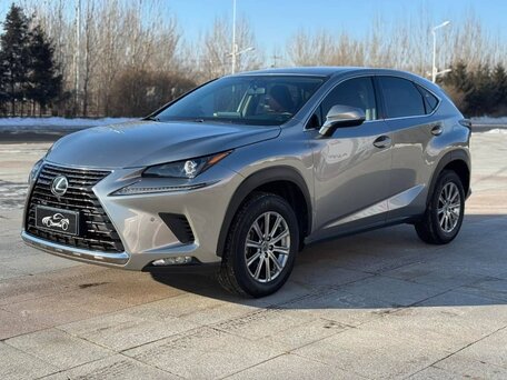 2021 Lexus NX 200 I Рестайлинг, серый, 3550000 рублей, вид 1