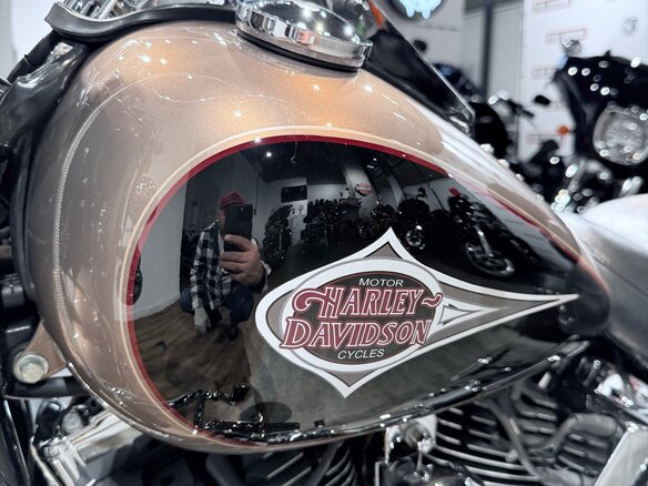 2004 Harley-Davidson Heritage, бежевый, 999000 рублей - вид 17