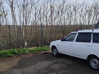 2012 Lada (ВАЗ) Priora I, белый, 330000 рублей, вид 3