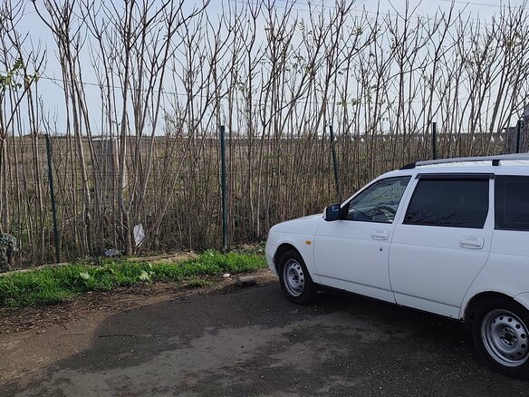2012 Lada (ВАЗ) Priora I, белый - вид 2