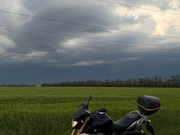 2019 BMW G 310 R, чёрный, 480000 рублей - вид 1