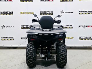 2025 Bison 250U, серый, 309900 рублей, вид 4
