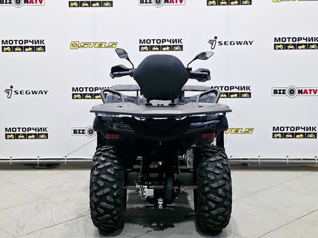2025 Bison 250U, серый, 309900 рублей, вид 4