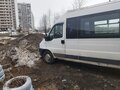 2011 Fiat Professional Ducato, белый, 650000 рублей