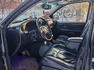 2006 Chevrolet TrailBlazer I Рестайлинг, серый, 600000 рублей, вид 5