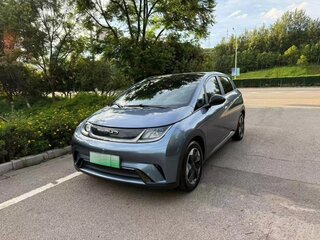 2024 BYD Dolphin 44.9 kWh I, голубой, 1450000 рублей, вид 4