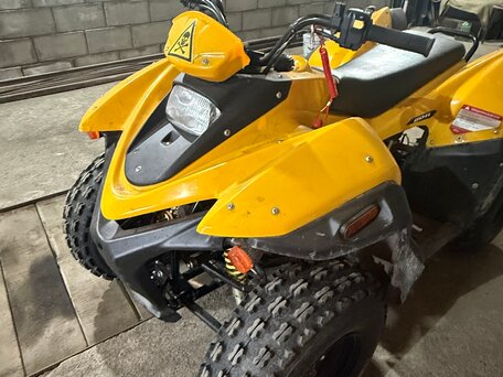 2023 Stels ATV-110, жёлтый, 110000 рублей, вид 1