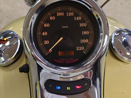 2003 Harley-Davidson Softail Deuce, бежевый, 615000 рублей, вид 3