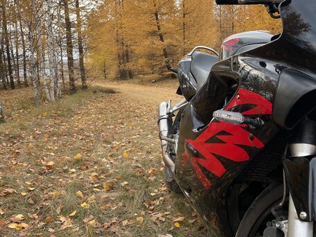 1999 Honda CBR 600F, чёрный, 350000 рублей, вид 3
