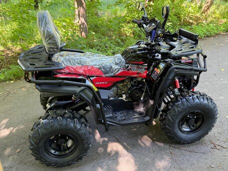 2026 Motoland ATV 200 MAX, чёрный, 175000 рублей, вид 3