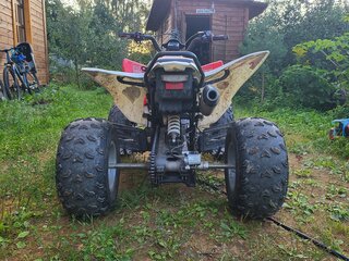2023 Motoland ATV 250S, красный, 168000 рублей, вид 5