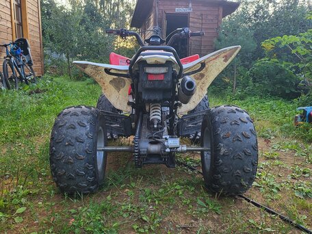 2023 Motoland ATV 250S, красный, 168000 рублей, вид 5