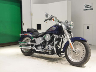 2007 Harley-Davidson Fat Boy, синий, 820000 рублей, вид 3