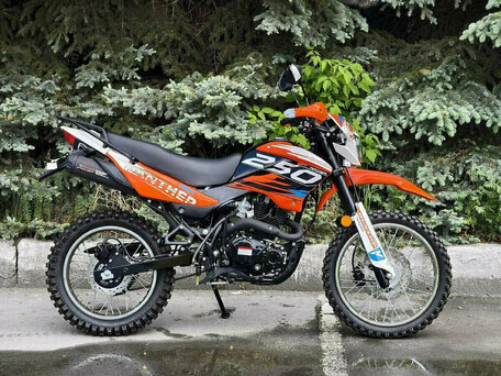 2026 Racer Panther, оранжевый, 123400 рублей, вид 5